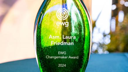 The Changemaker 2024 award