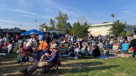 Crowd at the concert in the park